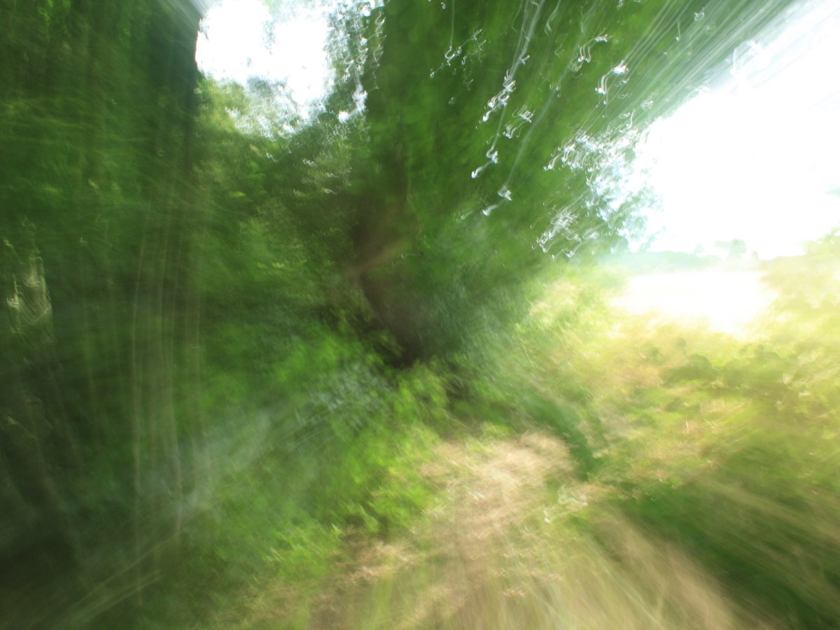 Satellitenarten. Pierre Boulles „Planet der&nbsp;Affen“