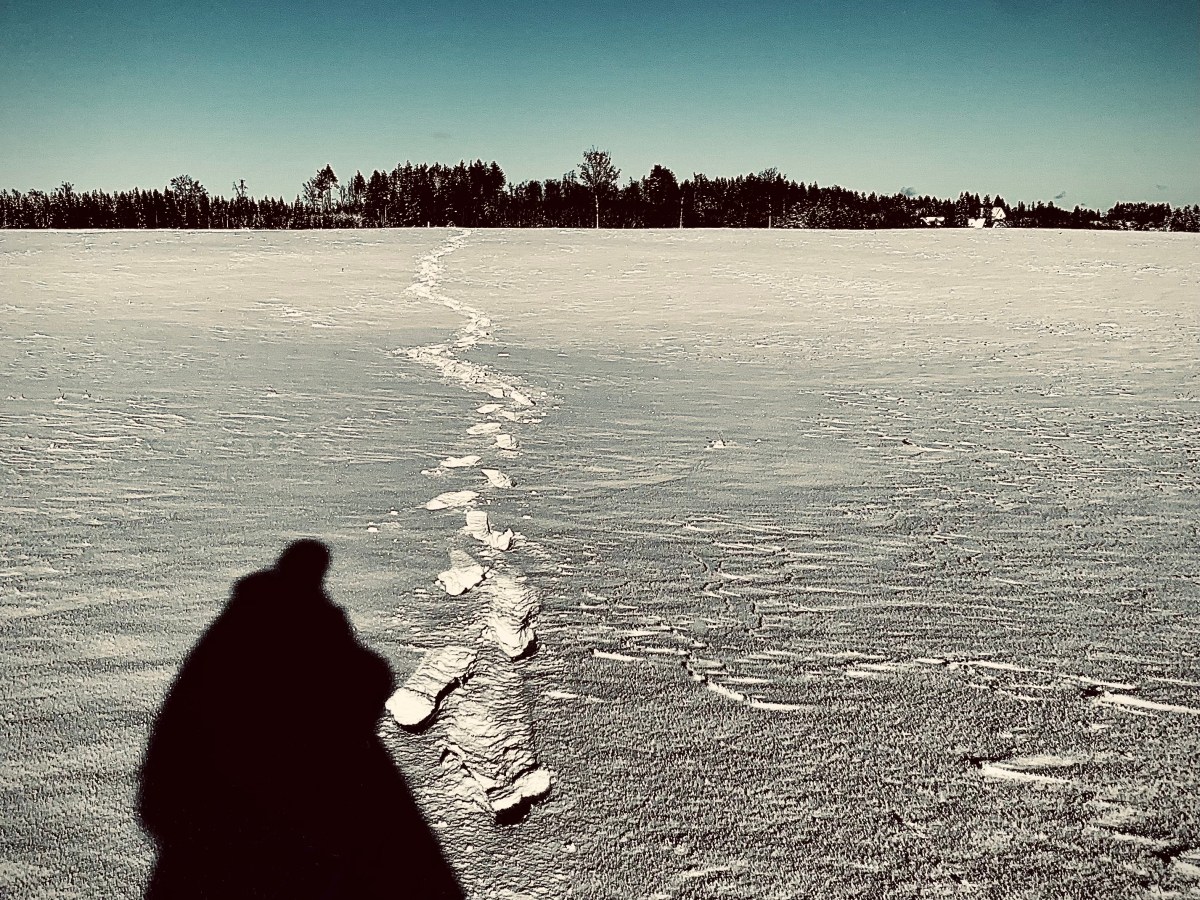 Peter Schlemihl, der ewige Jude und&nbsp;wir.