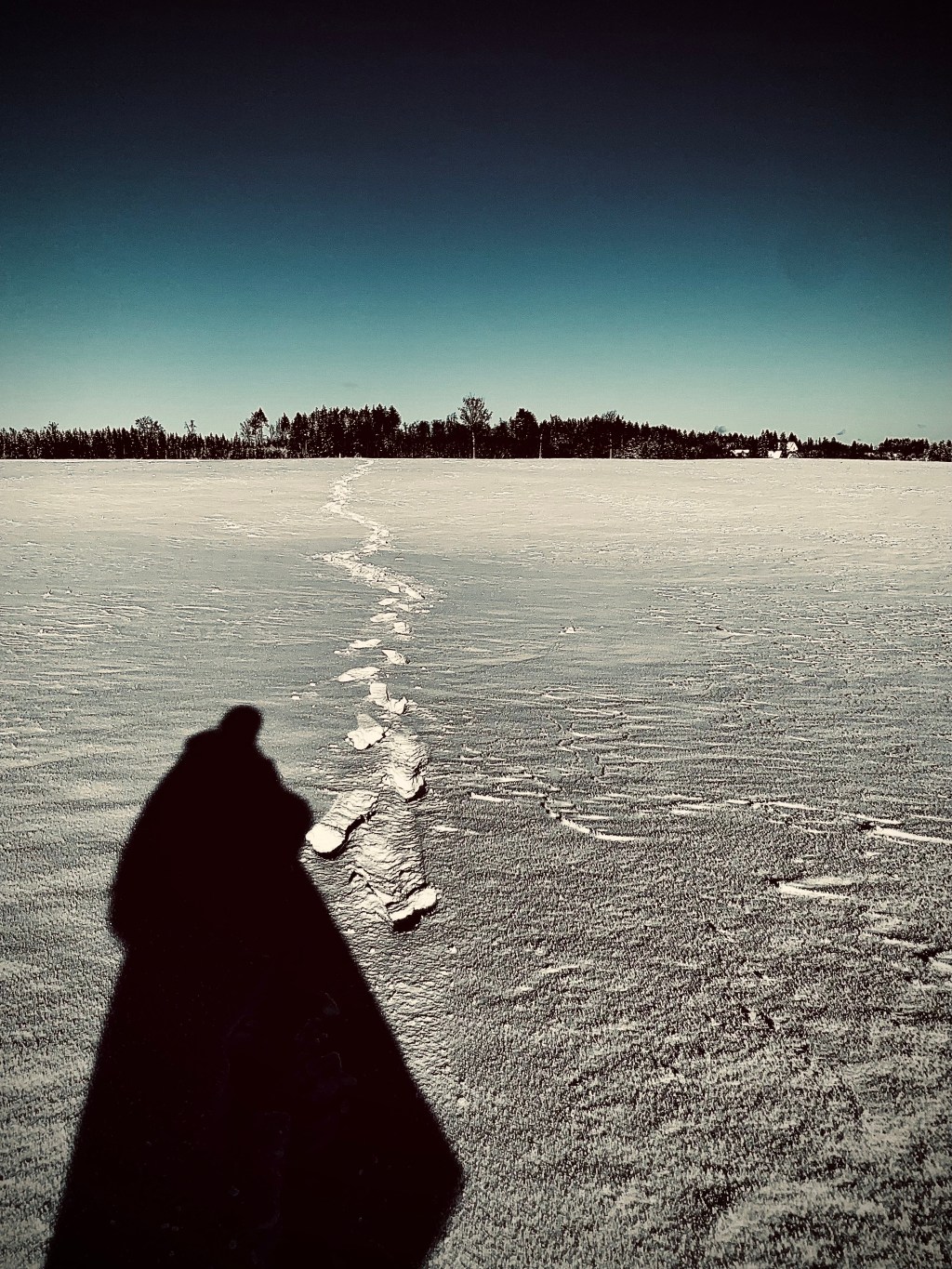 Peter Schlemihl, der ewige Jude und wir.