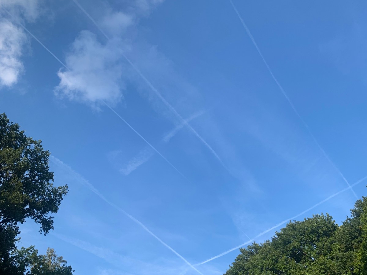 Was die Figurennamen in Harry Potter bedeuten&nbsp;(könnten)